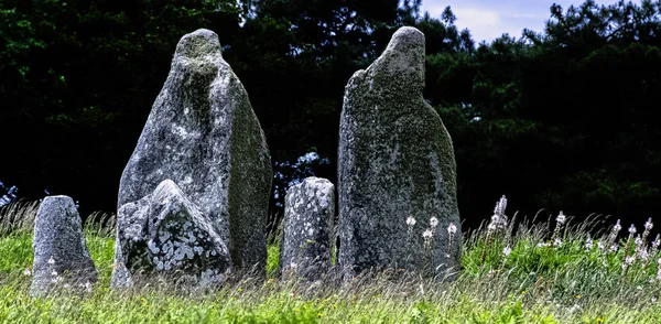 Alinhamentos Carnac Pedras Carnac Carnac Francia — Fotografia de Stock