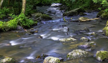 Cance / Canon nehri - Le Neufbourg, Normandiya, Fransa