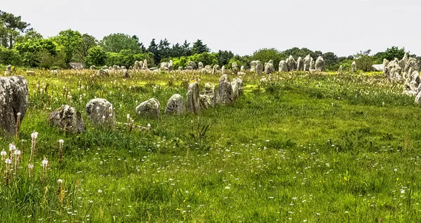 Alinhamentos Carnac Pedras Carnac Carnac Francia — Fotografia de Stock