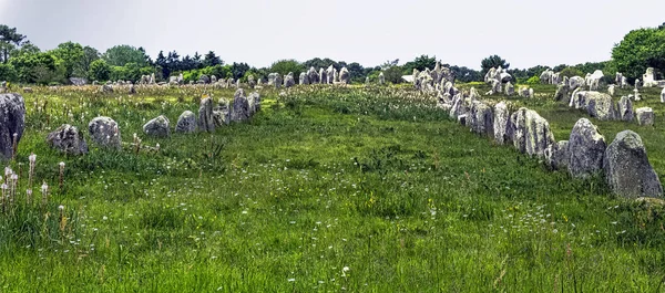 Alinhamentos Carnac Pedras Carnac Carnac Francia — Fotografia de Stock