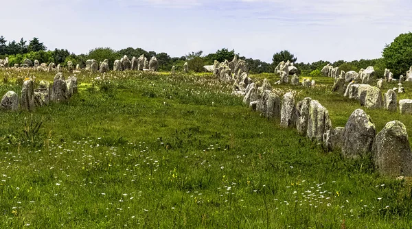 Alinhamentos Carnac Pedras Carnac Carnac Francia — Fotografia de Stock