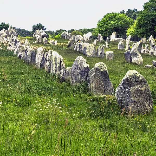 Alinhamentos Carnac Pedras Carnac Carnac Francia — Fotografia de Stock