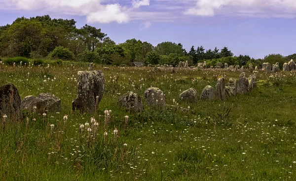 Alignements Carnac Carnac Steine Carnac Frankreich — Stockfoto