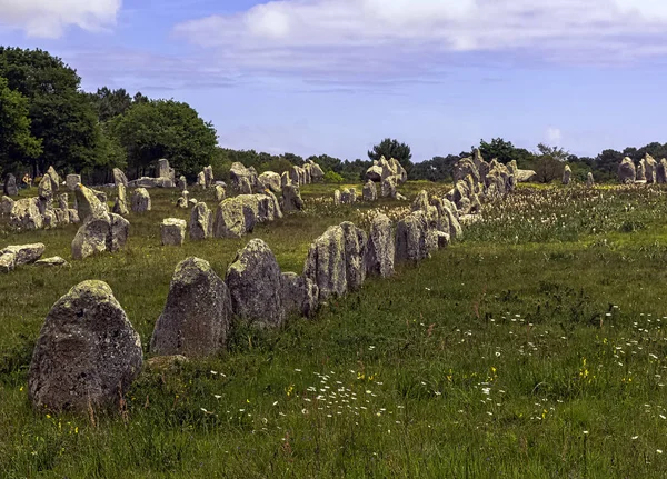 Alinhamentos Carnac Pedras Carnac Carnac Francia — Fotografia de Stock