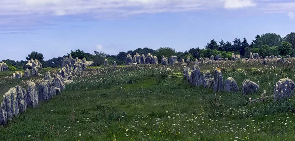 Alignements Carnac Carnac Stenar Carnac Frankrike — Stockfoto