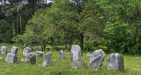 Alinhamentos Carnac Pedras Carnac Carnac Francia — Fotografia de Stock