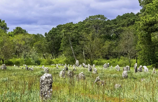 Alignements Carnac Carnac Stone Carnac France — 스톡 사진