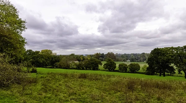 英国サリー州ランニメデのテムズ川沿いの水草の眺め — ストック写真