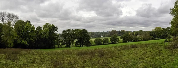 英国サリー州ランニメデのテムズ川沿いの水草の眺め — ストック写真