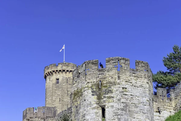 沃里克城堡 Warwick Castle 在英国沃里克郡沃里克设有孔雀守卫的熊塔 Bear Tower — 图库照片