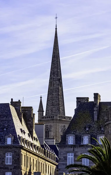 Vintage Architecture Old Town Cathedral Saint Vincent Saragossa Background Saint — стокове фото