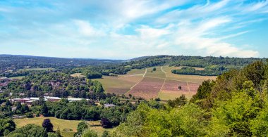 Surrey Hills Manzarası - Surrey, Birleşik Krallık