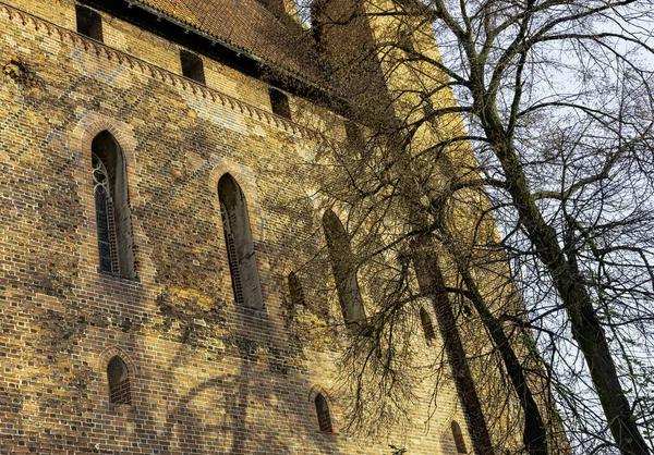 Castello Dell Ordine Teutonico Malbork Più Grande Castello Del Mondo — Foto Stock