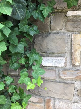 Şehrin taş duvarı.