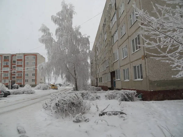 Trees Covered Hoarfrost City Courtyard — Stock Photo, Image