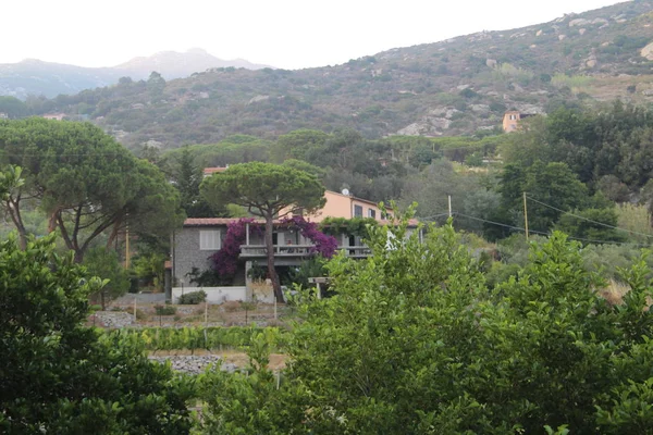 Landscape Mountain Views Island Elba Italy — Stock Photo, Image