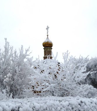 hoarfrost ile kış peyzaj ağaçları ile kaplı