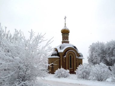 hoarfrost ile kış peyzaj ağaçları ile kaplı