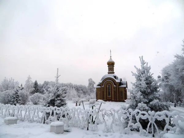 Winter landscape with trees covered with hoarfrost — Stock Photo, Image