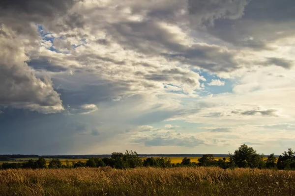 El cielo antes de una tormenta sobre el campo amarillo en Rusia — Foto de Stock
