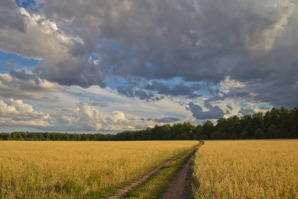 Campo camino de tierra entre en Rusia — Foto de Stock