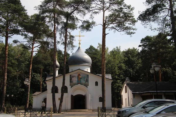 De koepel van de tempel van de heilige martelaar-Vladimir — Stockfoto