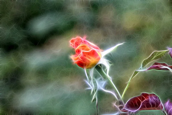 Fractal image of a red rose. — Stock Photo, Image