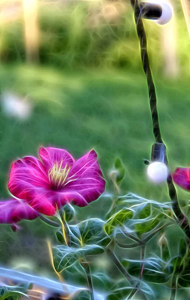 Imagem fractal de uma flor clematis . — Fotografia de Stock