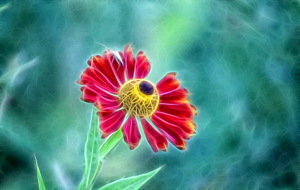 Fraktales Bild der Blume Gailardia — Stockfoto