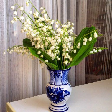 Bahçe lilyum vadideki bir dekoratif vazo içinde