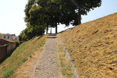 doğal peyzaj ağaçları ile