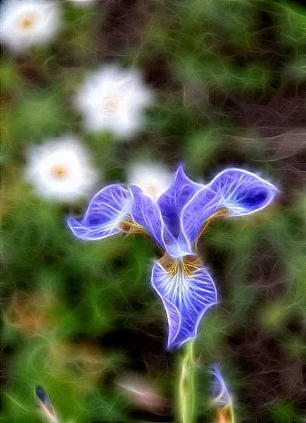 Fractal bloem lelie — Stockfoto