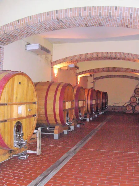 Wooden wine barrels — Stok fotoğraf