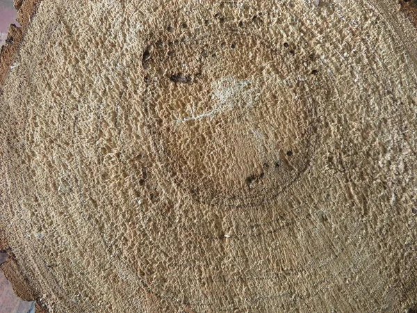 Ελαφριά κρέμα φόντου χρώμα-ξύλινη δομή πριόνι — Φωτογραφία Αρχείου