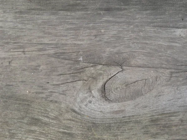 灰色の背景色-木の丸太の構造 — ストック写真