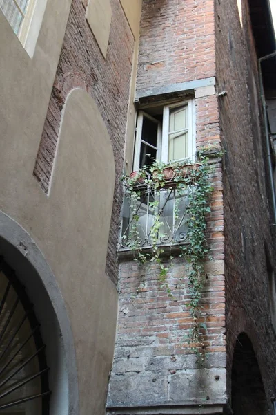 Vista sul balcone della città con verde — Foto Stock