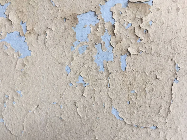 Textura de pared pintada de color crema claro — Foto de Stock