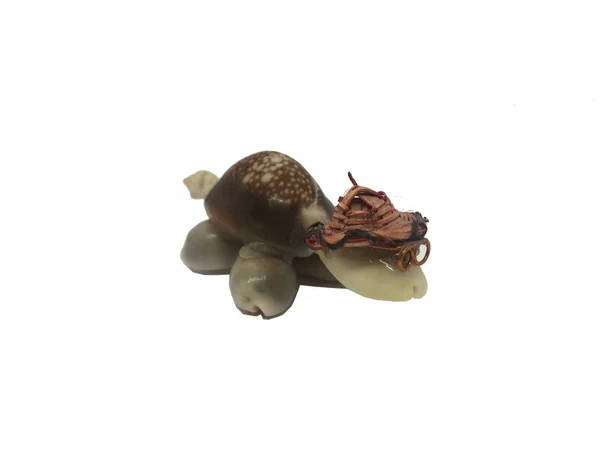 Tartaruga de brinquedo no fundo branco — Fotografia de Stock