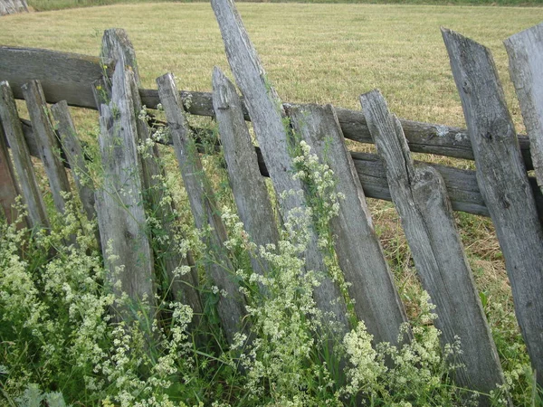 Cerca de madera vieja — Foto de Stock