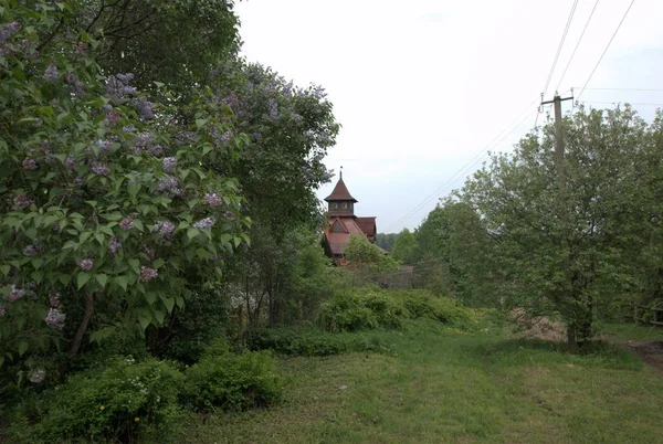 Пейзаж с видом на деревянный дом в деревне — стоковое фото