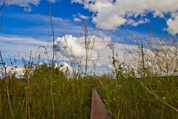 Пейзаж с заброшенной железной дорогой — стоковое фото