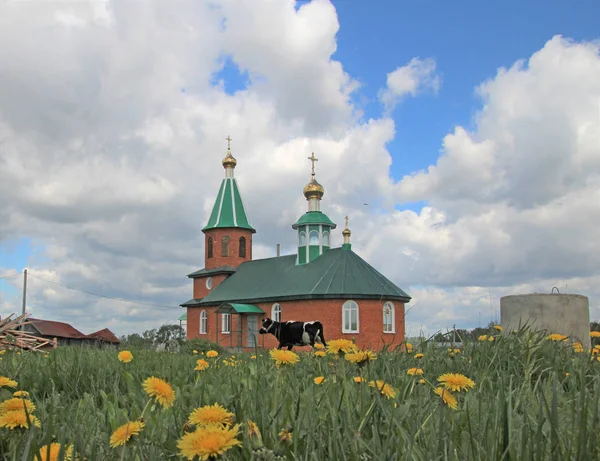 Kırsal bir kilisenin önünde otlatma — Stok fotoğraf