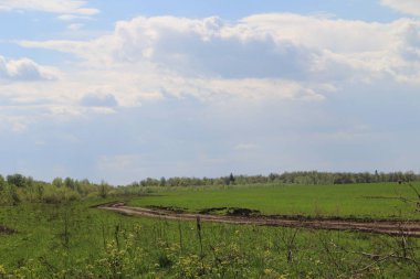 Rusya'da toprak bir yol ile Peyzaj