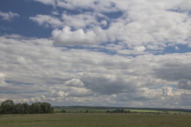 Chuvashia mavi gökyüzü ve beyaz bulutlar altında ağaçlar ile yaz manzara