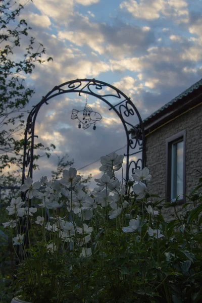 Сільський Захід Сонця Чувашія Росія — стокове фото