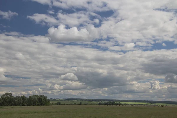 Paisaje de verano con árboles bajo el cielo azul y nubes blancas en Chuvashia — Foto de Stock