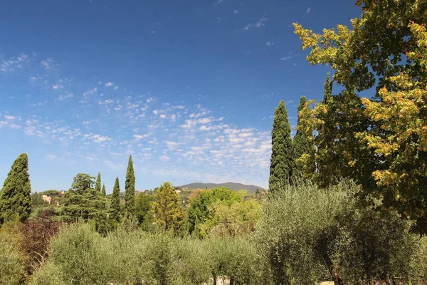 Paysage toscan à Fiesole sous un ciel bleu — Photo