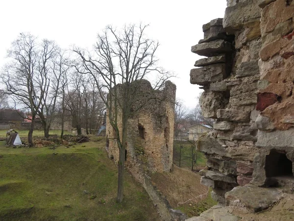 Landschaft mit Blick auf die Burg Cesis — Stockfoto