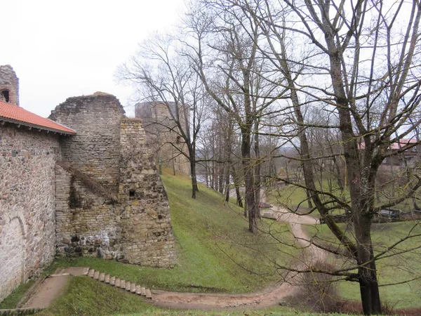 Landschaft mit Blick auf die Burg Cesis — Stockfoto