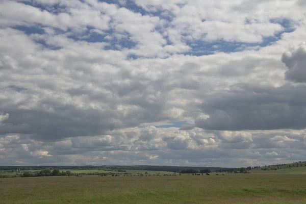 Paisaje de verano con una vista de un campo verde bajo un cielo azul y nubes blancas en Chuvashia — Foto de Stock